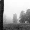 Landschaftsfoto in schwarz weiß | Nebelszene