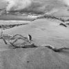 Landschaftsfoto sw - Strand von La Famara / Lanzarote