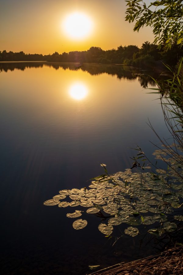 Landschaftsfoto Sonnenutergang am Heidesee in Sachsen-Anhalt