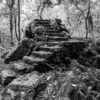 Landschaftsfoto in schwarz-weiß: Treppe im Wald