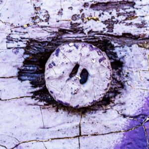 Fotografie mit Rost und alter Farbe | pinke Schweinsnase