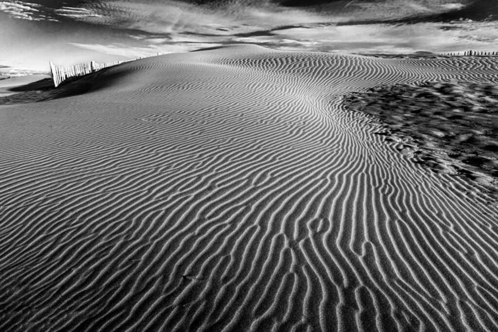 Landschaftsfoto schwarz-weiß Dünen am Strand in der Camargue