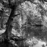 Landschaftsfoto schwarz-weiß | Niddasse in Frankfurt