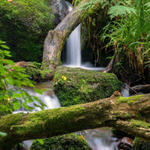Landschaftsfoto Wasserfall in der Gertelbachschlucht