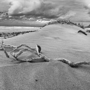 Landschaftsfoto schwarz-weiß - Treibgut am Strand von La Famara auf Lanzarote