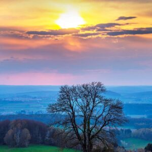 Landschaftsfoto Baum im Sonnenuntergang in der Rhön
