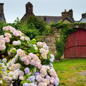 Wandbild - Rotes Tor an Steinmauer in Locronan (Bretagne)
