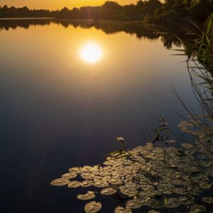 Foto Sonnenaufgang am Heidesee (Halle, Sachsen-Anhalt)