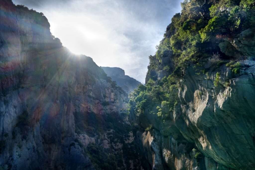Landschaftsfoto Morgens in der Verdon Schlucht (Provence)