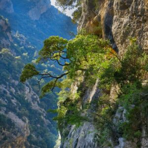 Landschaftsfoto Morgens in der Verdon Schlucht (Provence)