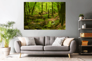 Wandbild - Landschaftsfoto / Waldfoto 