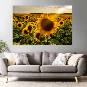 Landschaftsfoto Sonnenblumenfels mit Sonnenstrahlen