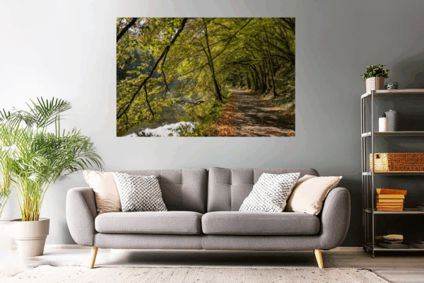 Wandbild - Landschaftsfoto / Waldfoto "Bunter Waldweg an der Lahn"