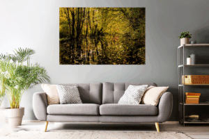 Wandbild - Landschaftsfoto / Waldfoto 