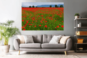 Landschaftsfoto Mohnfeld in der Provence