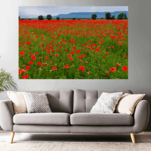 Landschaftsfoto Mohnfeld in der Provence