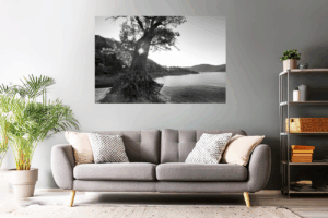Landschaftsfoto schwarz-weiß | Trockner Baum am Edersee
