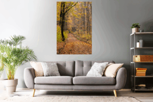 Landschaftsfoto / Waldfoto 