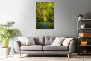 Landschaftsfoto / Waldfoto 