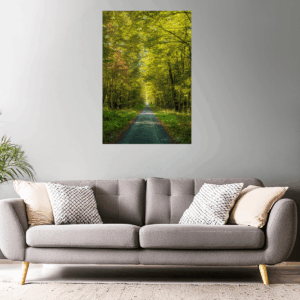 Landschaftsfoto / Waldfoto 