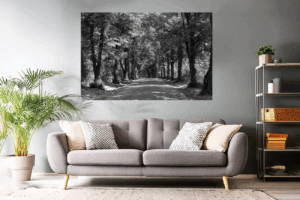 Landschaftsfoto schwarz-weiß | Alte Allee in Okriftel