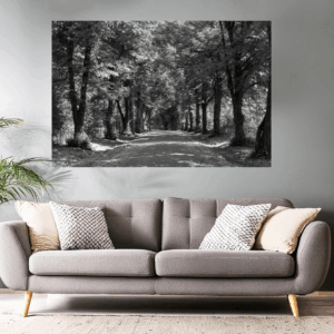 Landschaftsfoto schwarz-weiß | Alte Allee in Okriftel
