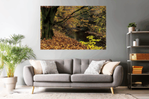Landschaftsfoto / Waldfoto bunte Herbstwald am Schwarbach im Taunus