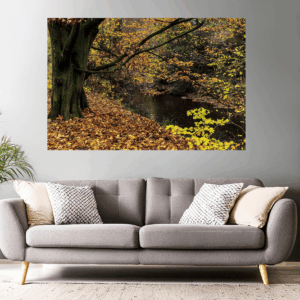 Landschaftsfoto / Waldfoto bunte Herbstwald am Schwarbach im Taunus