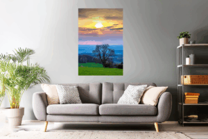 Landschaftsfoto Baum im Sonnenuntergang in der Rhön