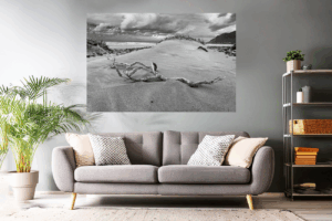 Landschaftsfoto schwarz-weiß - Treibgut am Strand von La Famara auf Lanzarote
