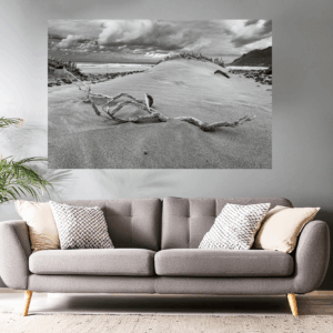 Landschaftsfoto schwarz-weiß - Treibgut am Strand von La Famara auf Lanzarote