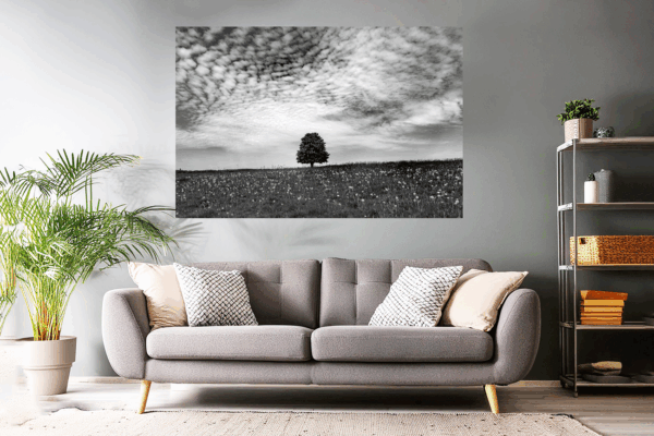 Landschaftsfoto schwarz-weiß | Baum in der Landschaft im Vogelsberg