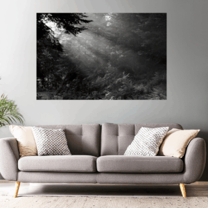 Landschaftsfoto / Waldfoto morgendliche Sonnenstrahlen am Donnersberg