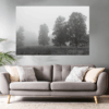 Landschaftsfoto schwarz-weiß | Bäume im Nebel