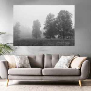Landschaftsfoto schwarz-weiß | Bäume im Nebel