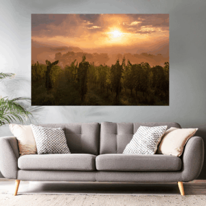 Foto Sonnenaufgang in den Weinbergen bei Disibodenberg