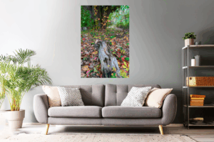 Landschaftsfoto / Waldfoto Baumstamm im bunten Herbstlaub