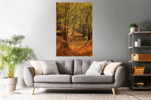 Landschaftsfoto / Waldfoto 