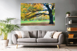 Landschaftsfoto / Waldfoto traumhafter Herbstbaum