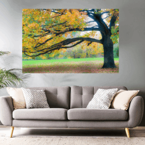 Landschaftsfoto / Waldfoto traumhafter Herbstbaum