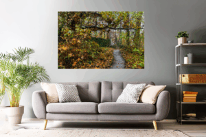 Landschaftsfoto / Waldfoto Weg im Herbst am Kloster Disibodenberg