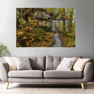 Landschaftsfoto / Waldfoto Weg im Herbst am Kloster Disibodenberg