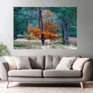 Landschaftsfoto / Waldfoto oranger Baum in den Schwanheimer Dünen