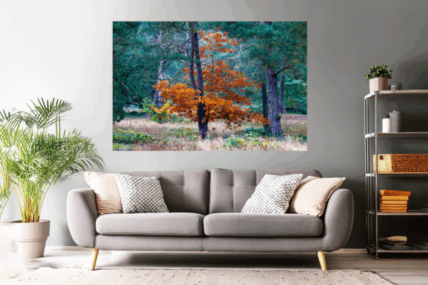 Landschaftsfoto / Waldfoto oranger Baum in den Schwanheimer Dünen