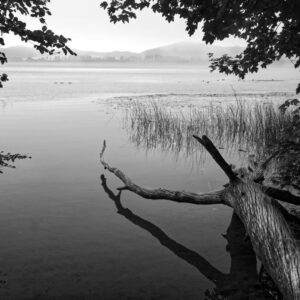 Landschaftsfoto schwarz-weiß | Laacher See am Morgen