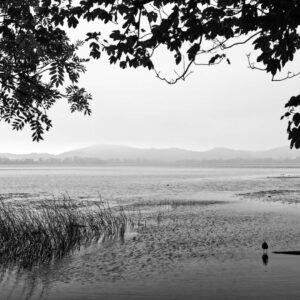 Landschaftsfoto schwarz-weiß | Laacher See am Morgen