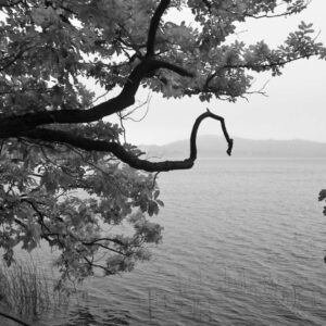 Landschaftsfoto schwarz-weiß | Laacher See am Morgen
