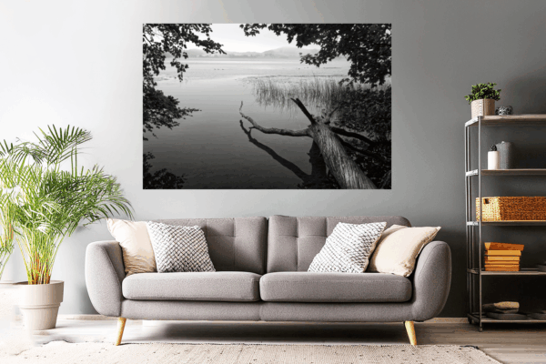 Landschaftsfoto schwarz-weiß | Laacher See am Morgen