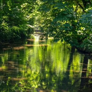 Waldfotografie / Landschaftsfoto Frühling am Schwarzbach