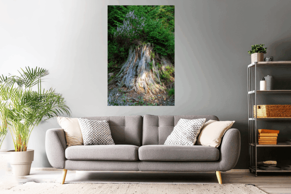 Wandbild - Landschaftsfoto / Waldfoto "Baumstumpf mit Blüten"